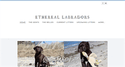 Desktop Screenshot of ethereallabradors.com