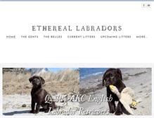 Tablet Screenshot of ethereallabradors.com